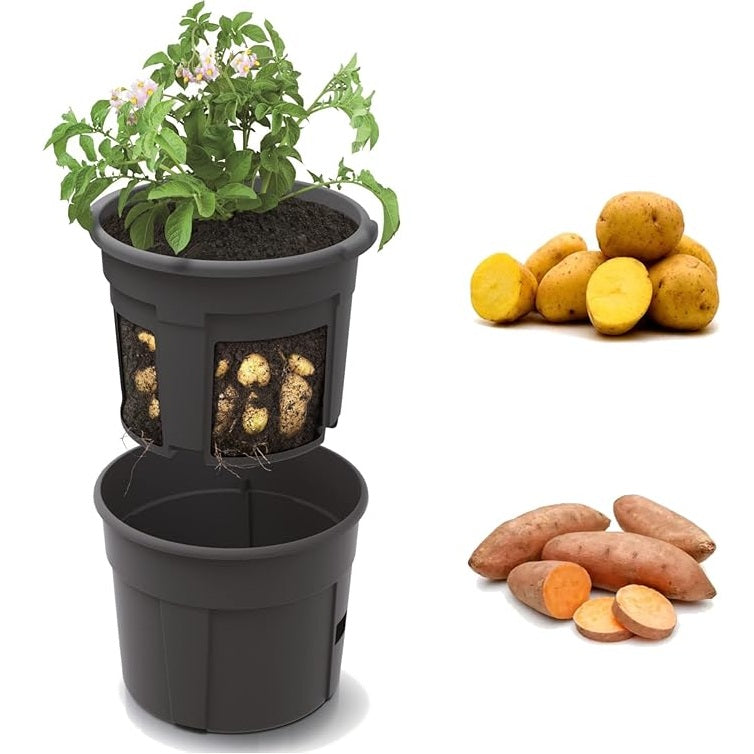 e583b6d8e0423fdb6d872f1593143d45 e583b6d8e0423fdb6d872f1593143d45